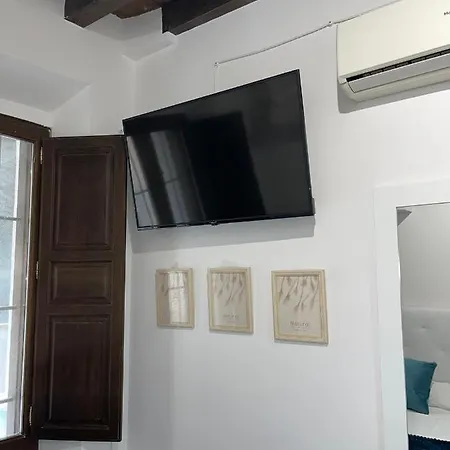 Loft En Carrera De La Virgen Granada