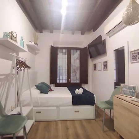Loft En Carrera De La Virgen * Granada